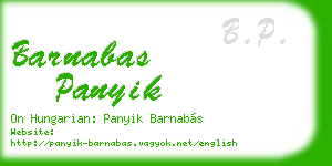 barnabas panyik business card
